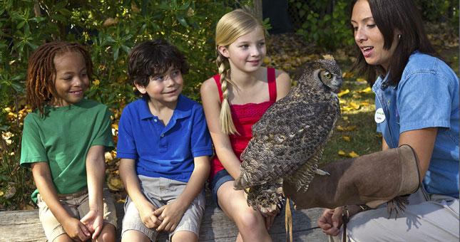 San Diego Zoo Play Days - Top Things in San Diego